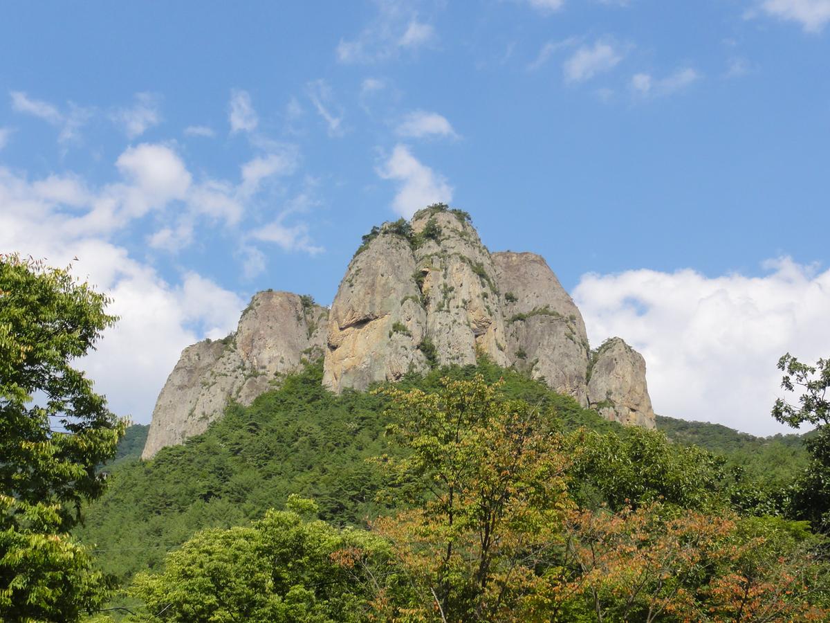KTX- ֿջ(ֻ)ҿ & 꽺ī̿ũ (12)